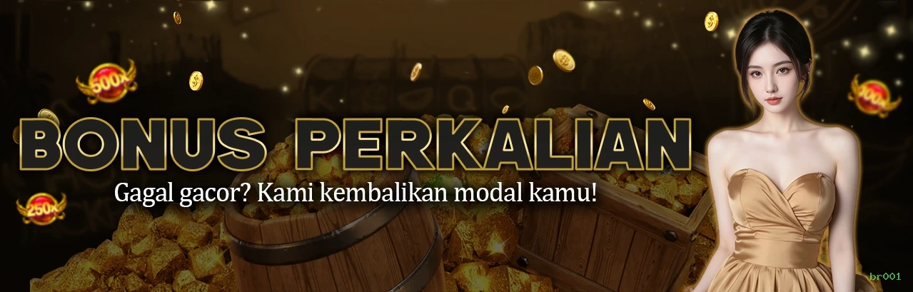 Win br001